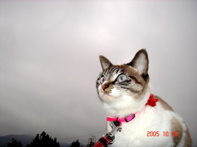 a0005691_16281022.jpg