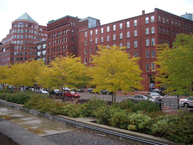 d0033492_16133036.jpg