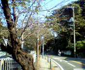 b0007895_121413.jpg