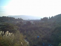 e0075015_2319598.jpg