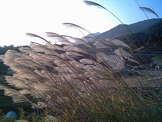 e0075015_2345620.jpg