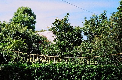 a0034419_13251290.jpg