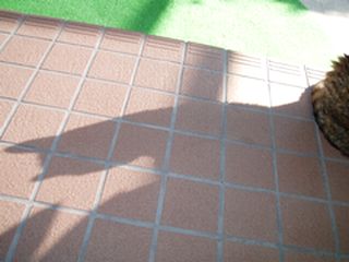 a0027720_9303646.jpg