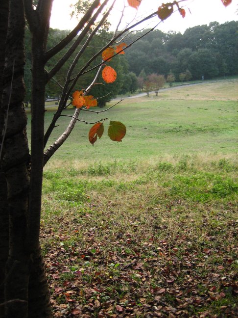 e0009147_175254.jpg