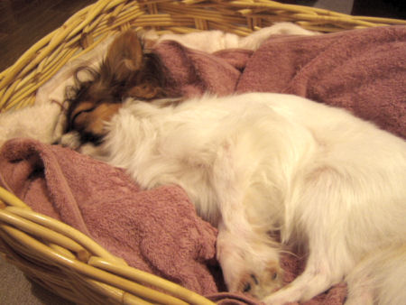 c0074156_0161951.jpg