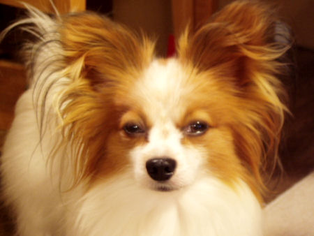 c0074156_01632.jpg