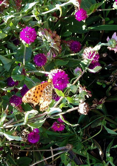 e0064158_0283080.jpg