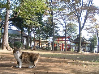 b0059860_14301322.jpg