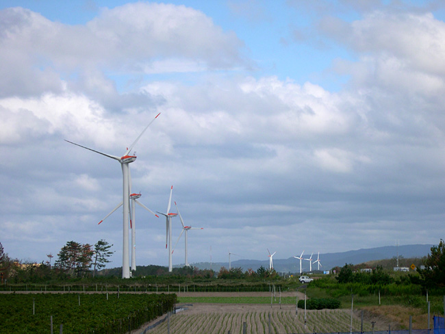 d0009773_9535665.jpg