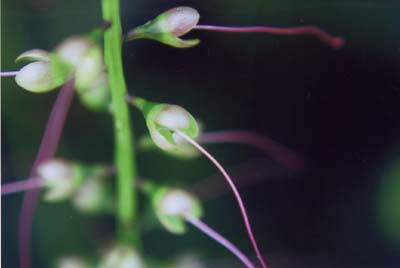 c0073574_17543915.jpg