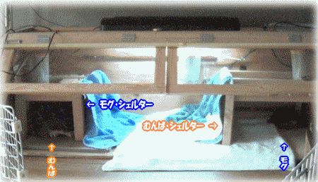 b0055276_004057.gif