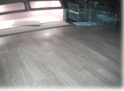 b0055276_015094.gif