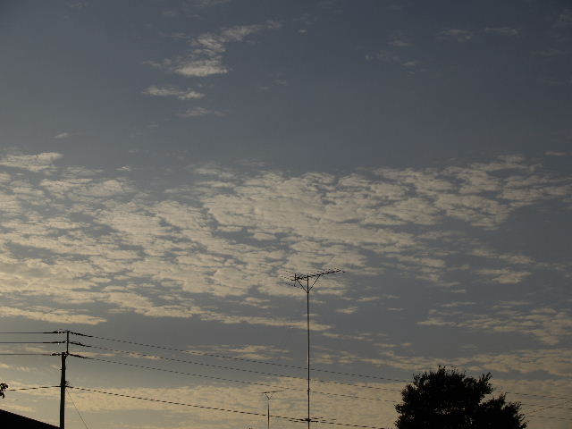 b0027880_23501086.jpg