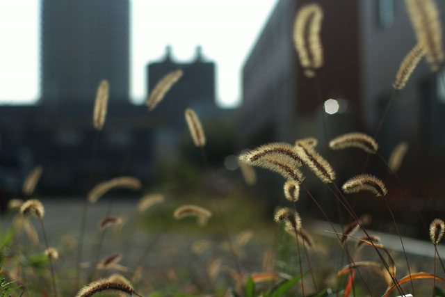 d0034980_22344039.jpg