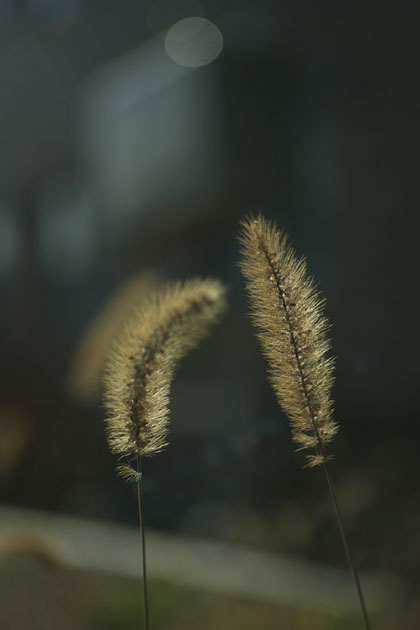 d0034980_2235126.jpg