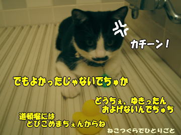 b0041182_805970.jpg