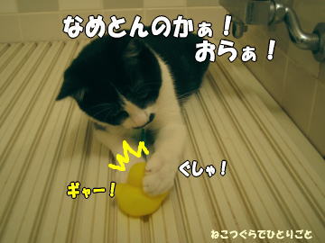 b0041182_81116.jpg
