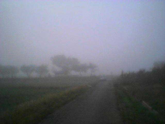 e0018604_13415148.jpg