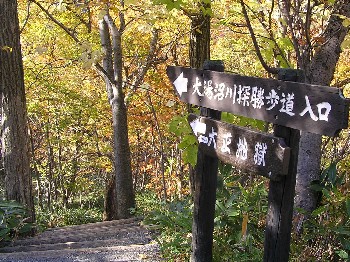 c0062106_23301061.jpg