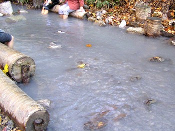 c0062106_2384877.jpg