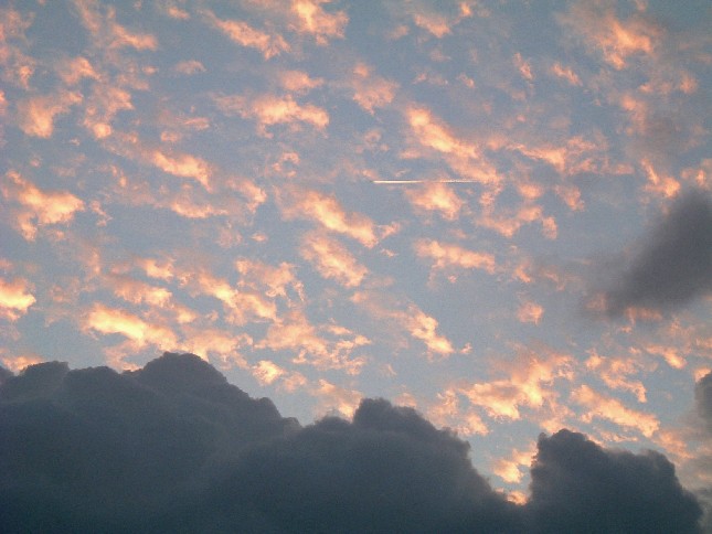 b0026610_1830871.jpg
