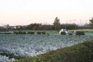 a0006321_19325332.jpg