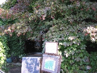 e0064128_133251.jpg