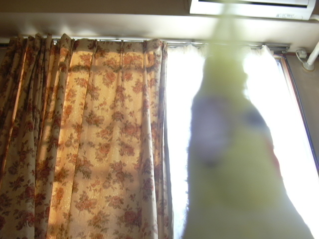 d0039036_13241359.jpg