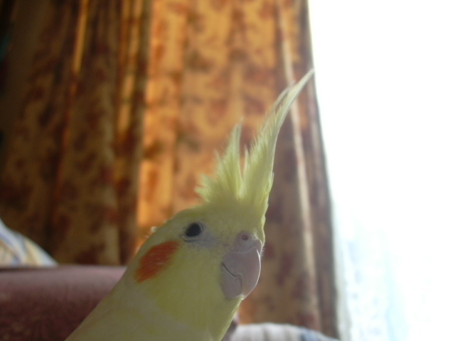 d0039036_13264285.jpg