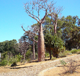 e0057640_13234367.jpg