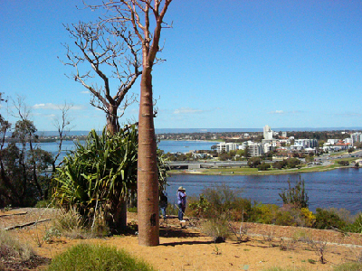 e0057640_13241100.jpg