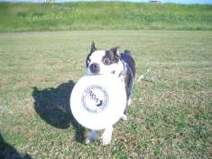 c0035443_18594539.jpg