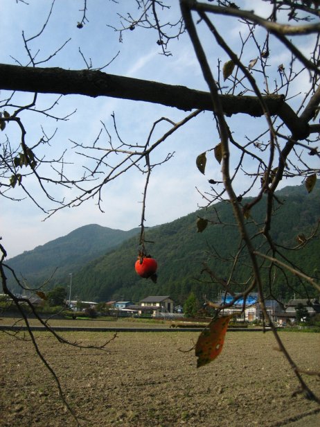 e0009147_1651597.jpg