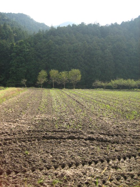 e0009147_16523788.jpg