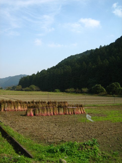 e0009147_16544329.jpg