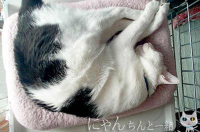 e0031853_1223134.jpg