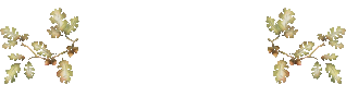 e0064158_0174015.gif