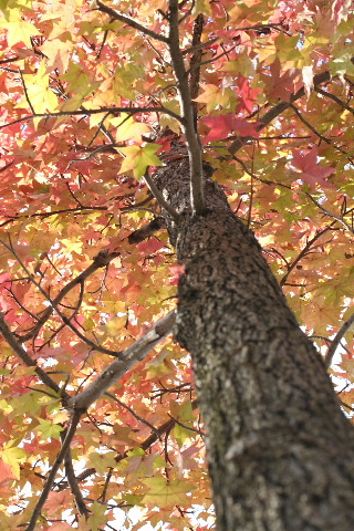 b0055171_16372551.jpg