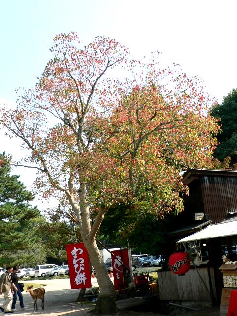 d0042474_23464249.jpg