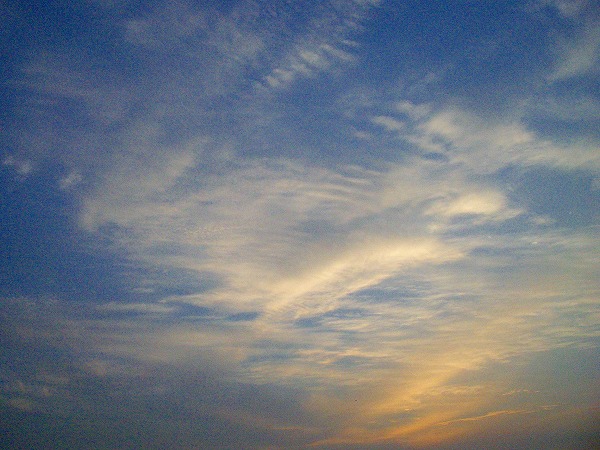 b0010882_2332538.jpg