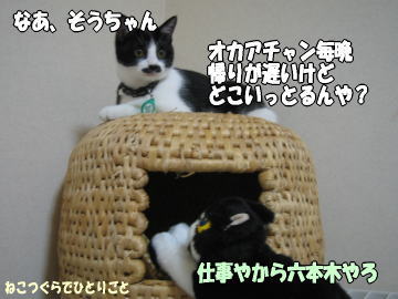 b0041182_0175146.jpg