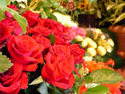 e0032988_78614.jpg
