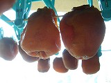 c0033992_1421363.jpg