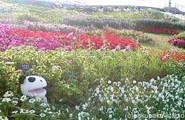 e0015195_14134364.jpg