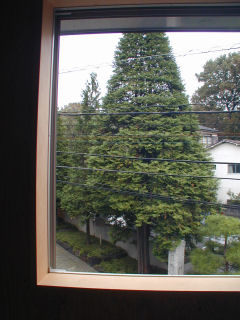 d0026998_10261490.jpg