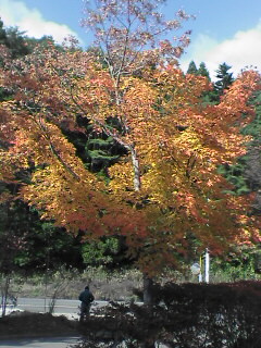 c0056903_18202914.jpg