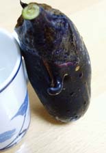 e0024903_1533917.jpg