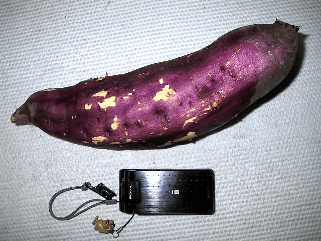 a0006605_2351444.gif