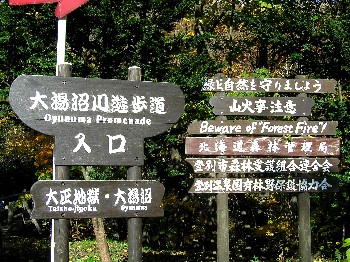 c0062106_0334735.jpg