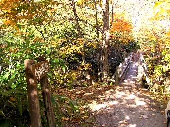c0062106_0374741.jpg